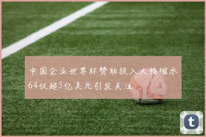 中国企业世界杯赞助投入大幅缩水64仅超5亿美元引发关注