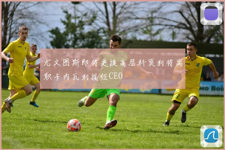 尤文图斯即将更换高层科莫利将离职卡内瓦利接任CEO