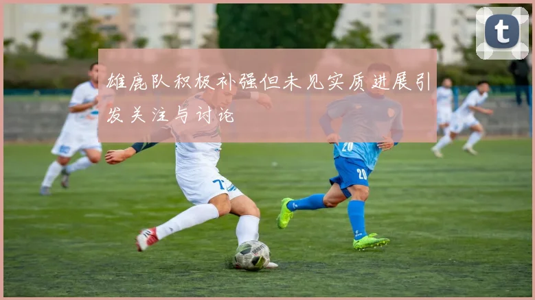雄鹿队积极补强但未见实质进展引发关注与讨论