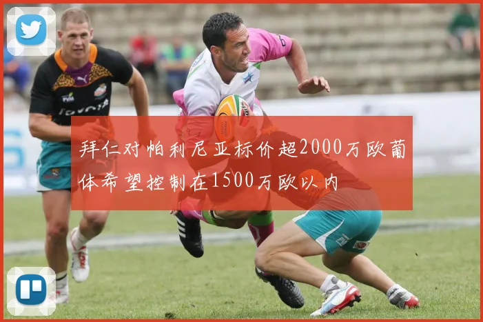 拜仁对帕利尼亚标价超2000万欧葡体希望控制在1500万欧以内